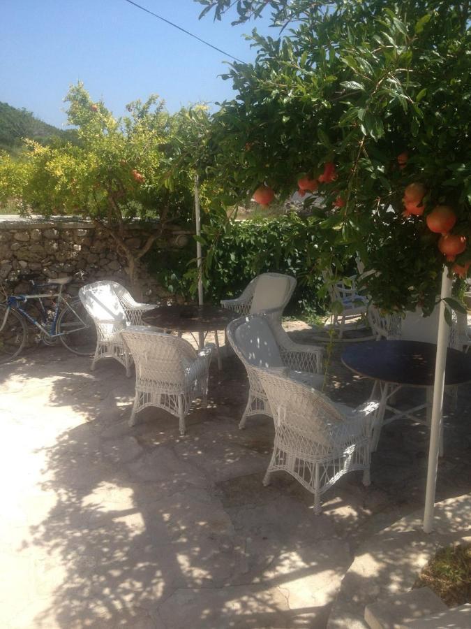 Apartments Adriana Μπολ Εξωτερικό φωτογραφία
